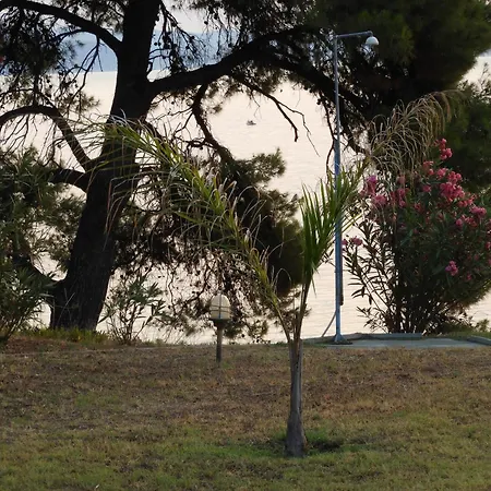 Sangue Blu Beachfront