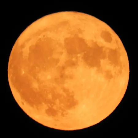 Sangue Blu Beachfront *