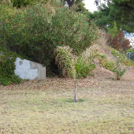 Sangue Blu Beachfront