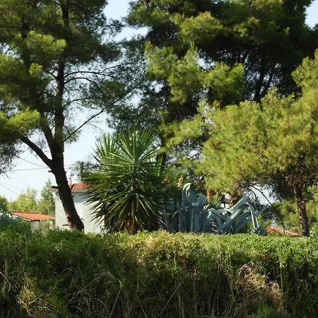 Sangue Blu Beachfront Prázdninový dům Ágios Nikólaos