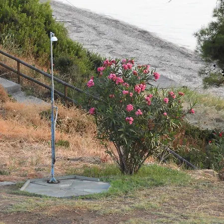 Sangue Blu Beachfront *