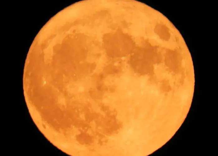 Sangue Blu Beachfront *