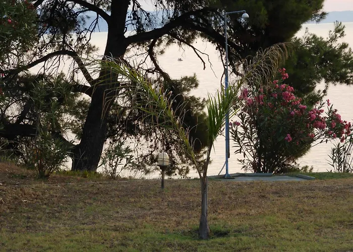 Sangue Blu Beachfront