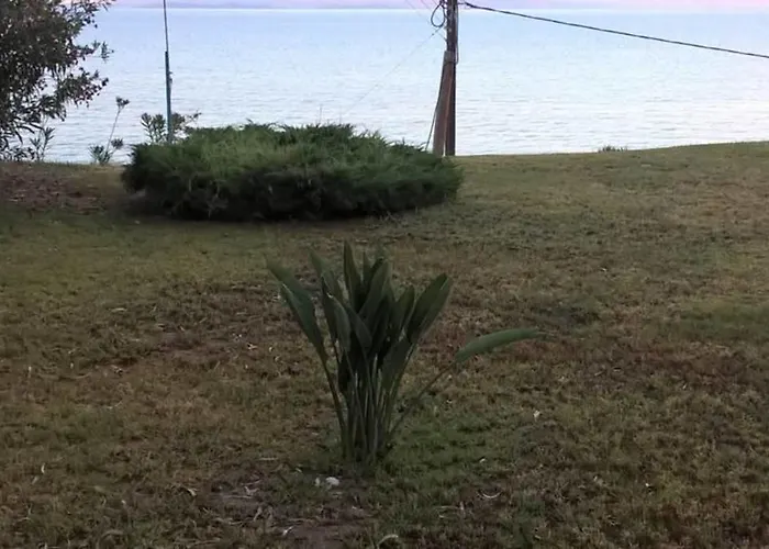 Sangue Blu Beachfront *